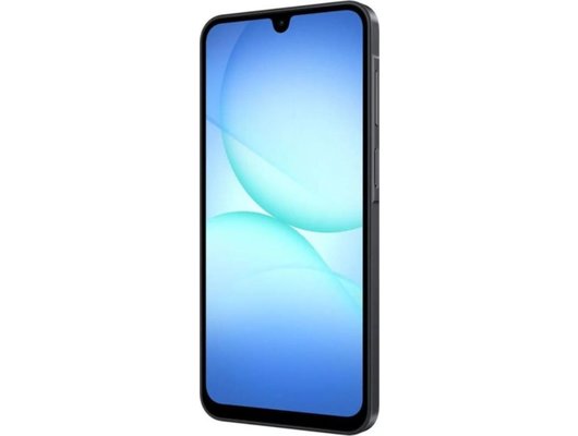 Смартфон Samsung Galaxy A17 6/128 SM-A175F Black